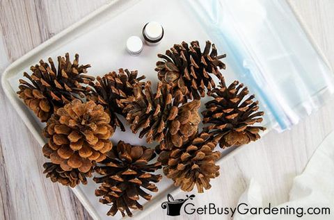 How To Make Scented Pine Cones At Home - Get Busy Gardening with regard to Struggling With Diy Scented Pinecones? This Is Why They Don't Last