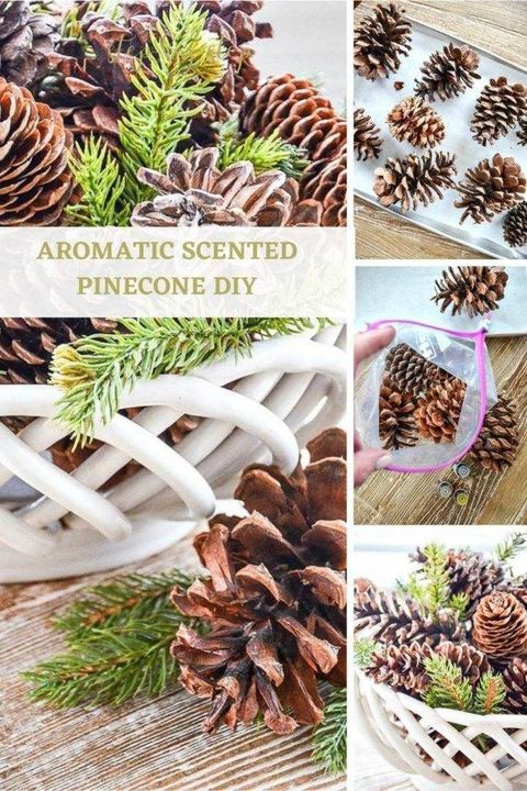 How To Make Scented Pinecones | Scented Pinecones, Pine Cones, Diy Pinecone within Struggling With Diy Scented Pinecones? This Is Why They Don't Last