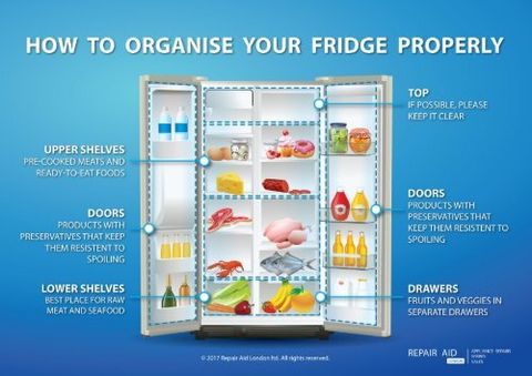 How To Organise Your Fridge Properly intended for The Fridge Mistake That Cost Me $500 to Fix (And How to Avoid It)