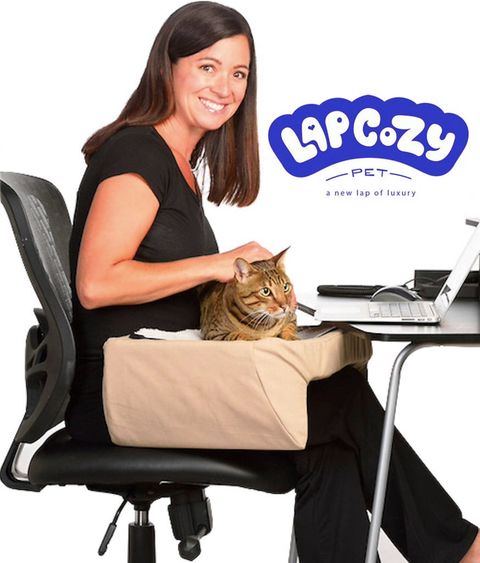 Lap Cozy Pet Bed. A New Lap Of Luxury For Small Dogs Cats And | Etsy pertaining to Diy Cat Lap Bed