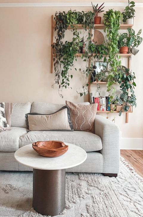 Plant Wall: A Tour Of My Tiny Apartment Oasis | Xoxojackie Blog with Maximizing limited space creativity with tiny apartment plant arrangements and artistic touches