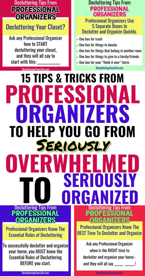 Professional Organizing Tips And Secrets Straight From The Pros in The Mental Models That Separate Good Organizers From Great Ones