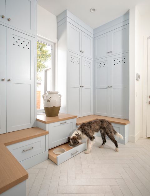 Top 5 Dog Friendly Home Ideas - Home Bunch Interior Design Ideas pertaining to The Dog Friendly Home Mistake That Cost Me $1,500 to Fix