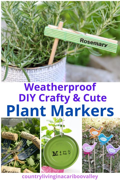 Weatherproof Plant Markers Diy - Cute & Creative Craft | Garden Markers ... intended for Struggling With DIY Houseplant Markers? Here's What's Really Going Wrong
