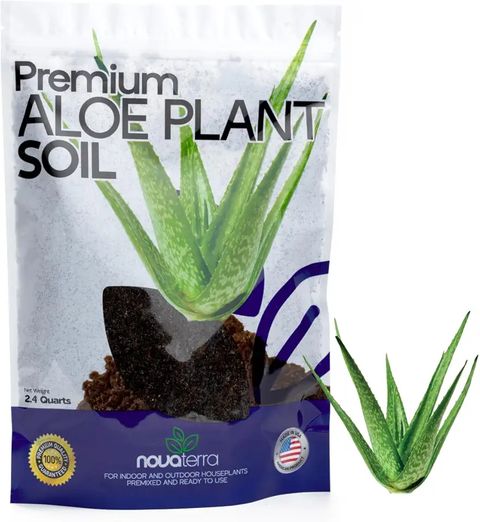 5 Tips For Pruning And Reviving An Overgrown Aloe Plant | Shuncy in Understanding the perfect soil composition for aloe vera success