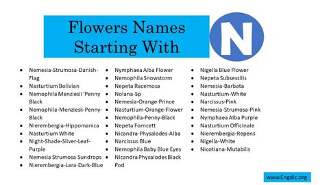 80 Flowers That Start With N (All Colors Flowers) - Engdic with regard to Flowers That Start With An N