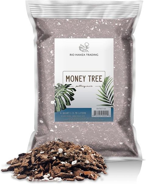Amazon.com : Money Tree Soil (4 Quarts), Potting Mix For Planting ... with Potting Mix For Money Tree