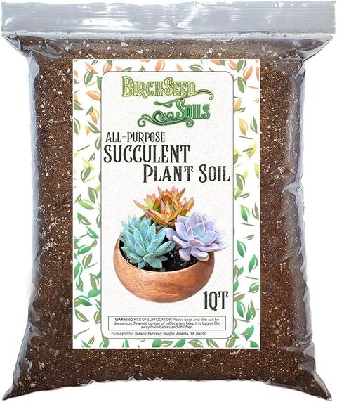 Amazon.com : Succulent Plant Soil, Natural All-Purpose Cactus, Aloe ... inside Understanding the perfect soil composition for aloe vera success