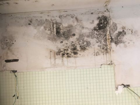 Can Mold Grow On Metal - Emsekflol.com for Can Mold Grow On Metal