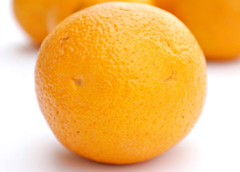 Does Navel Oranges Have Seeds At Madison Hales Blog inside Do Navel Oranges Have Seeds