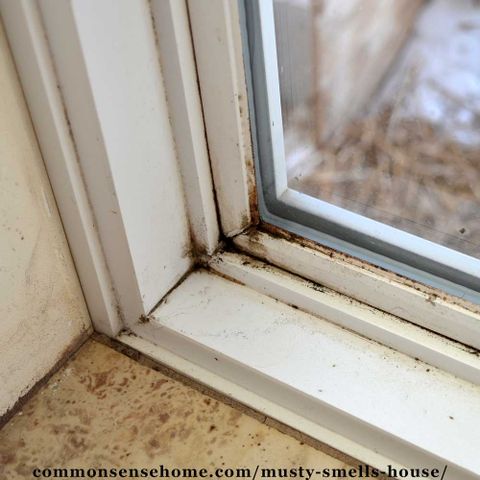 House Smells Musty But No Mold - Home Advisor Blog with regard to How to identify and eliminate musty odors in your house