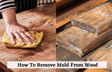 How To Clean Black Mold Off Wood Furniture At Jamie Groat Blog pertaining to How To Clean Mold Off Furniture