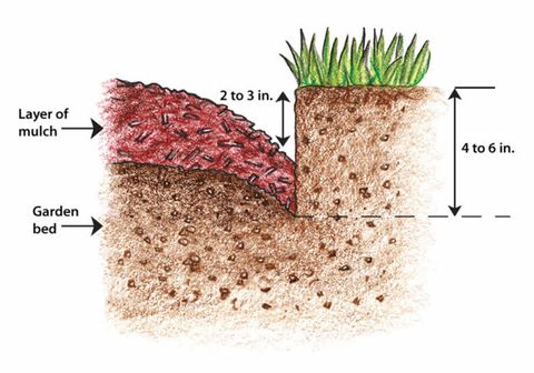 How To Create Perfect Edges For Your Garden Beds And Borders throughout Mastering the Art of Natural Garden Bed Edging Methods
