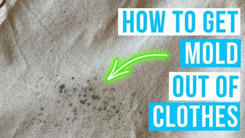 How To Get Mold Out Of Clothes | Mold Stains Removal - Youtube intended for Can You Wash Mold Out Of Clothes