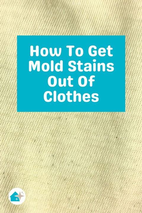 How To Get Mold Stains Out Of Clothes | Tidy Diary | Stains, Remove ... with regard to Removing Mold Stains From Clothes