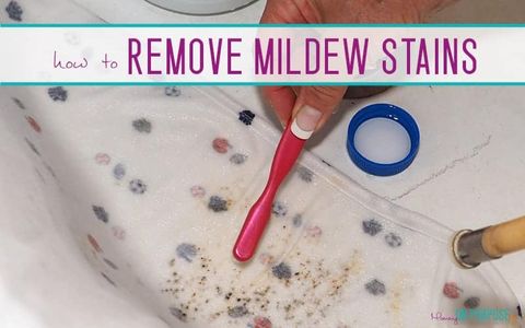 How To Remove Mildew From Colored Clothes? - My Heart Lives Here within Can You Wash Mold Out Of Clothes