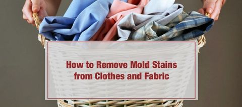 How To Remove Mold From Clothes And Fabric – Artofit within Removing Mold Stains From Clothes