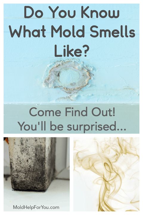 Isidra Atchison with House Smells Musty But No Mold