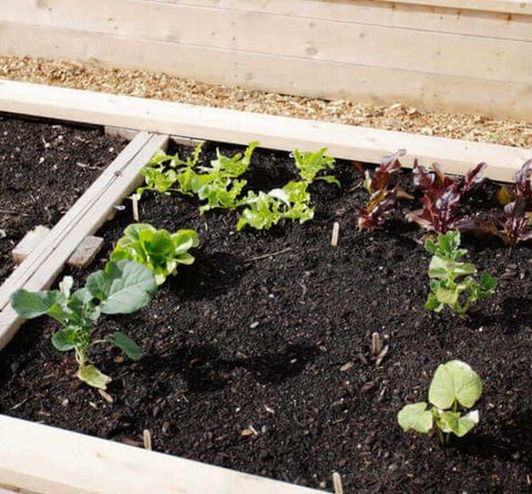Layering Soil For A Raised Garden Bed | Kellogg Garden Organicsâ„¢ intended for How To Layer A Raised Garden Bed