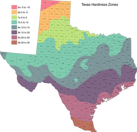 Plant Hardiness Zones Texas - Clipart Best inside Understanding Dallas Texas Planting Zones for Gardeners