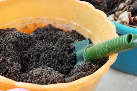 Potting Soil Mix Explained: Ingredients And Labels - Modern Farmer with regard to Potting Soil Or Potting Mix