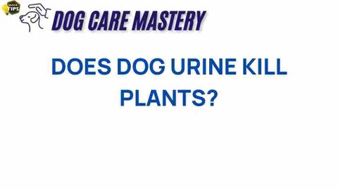 The Hidden Dangers: Does Dog Urine Really Kill Plants? with Texas gardeners reveal which wildlife urine kills their plants