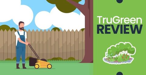 Trugreen Cost: Honest Review, Plans & Pricing inside How TruGreen Lawn Care Measures Up Against Other Grass Care Services