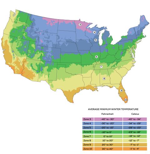 Usda Plant Hardiness Zone Map - Harvest To Table inside Understanding Dallas Texas Planting Zones for Gardeners