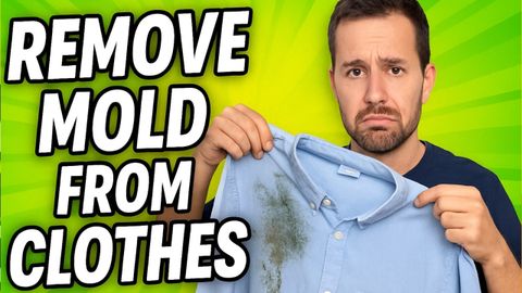 What Gets Rid Of Mould On Clothes At Edward Criss Blog pertaining to Natural remedies that actually work for mold stain removal on clothes