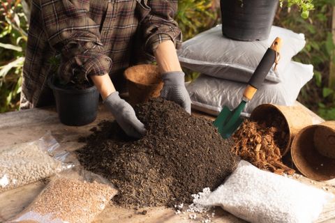 When To Use Potting Mix Vs Potting Soil At Albert Pietsch Blog in Potting Soil Or Potting Mix