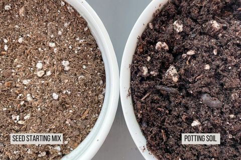When To Use Potting Mix Vs Potting Soil At Albert Pietsch Blog throughout Potting Soil Or Potting Mix